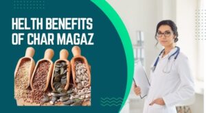 Health Benefits of Char Magaz