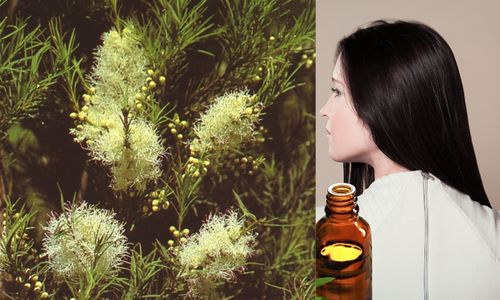 Tea Tree oil Benefits for hair